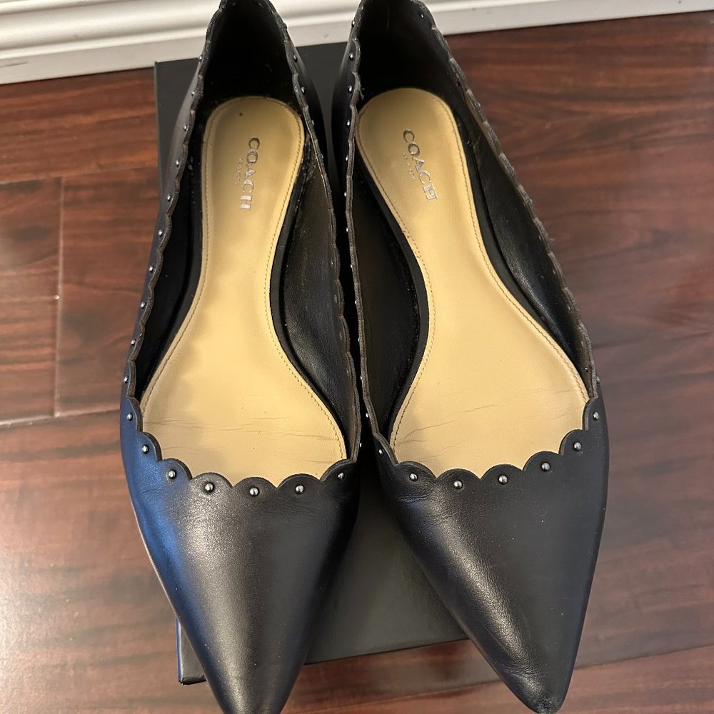 Coach Jill Pointed Toe Flats